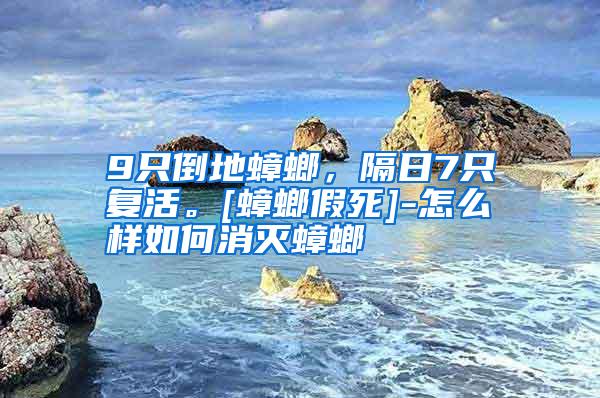 9只倒地蟑螂，隔日7只復(fù)活。[蟑螂假死]-怎么樣如何消滅蟑螂