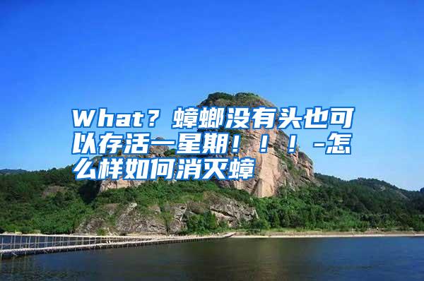 What?蟑螂沒有頭也可以存活一星期?。?!-怎么樣如何消滅蟑