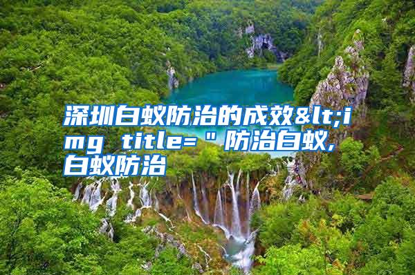 深圳白蟻防治的成效<img title="防治白蟻,白蟻防治