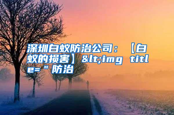 深圳白蟻防治公司:【白蟻的損害】<img title="防治