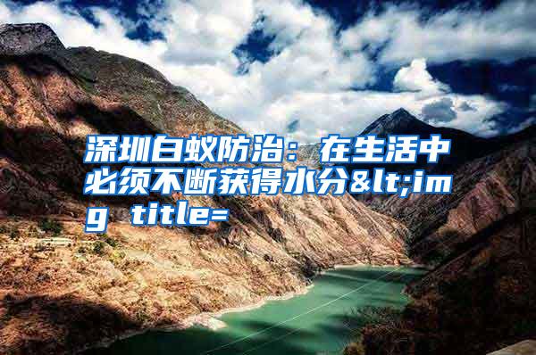 深圳白蟻防治:在生活中必須不斷獲得水分<img title=
