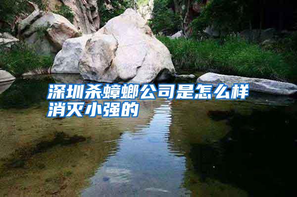 深圳殺蟑螂公司是怎么樣消滅小強的