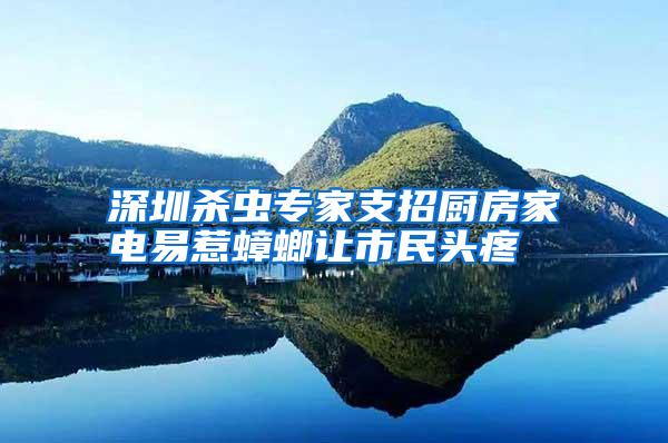 深圳殺蟲專家支招廚房家電易惹蟑螂讓市民頭疼