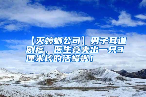 【滅蟑螂公司】男子耳道劇疼,醫(yī)生竟夾出一只3厘米長的活蟑螂!