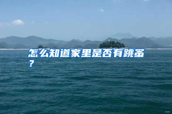 怎么知道家里是否有跳蚤?