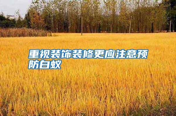 重視裝飾裝修更應(yīng)注意預(yù)防白蟻