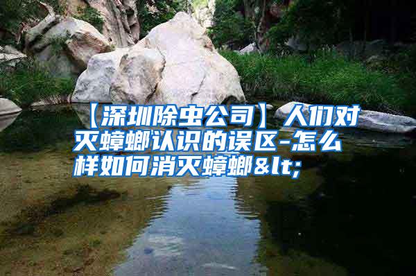 【深圳除蟲公司】人們對滅蟑螂認(rèn)識的誤區(qū)-怎么樣如何消滅蟑螂<