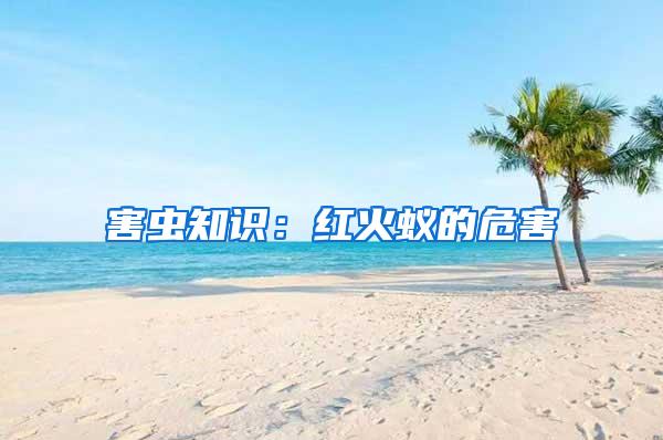 害蟲知識:紅火蟻的危害