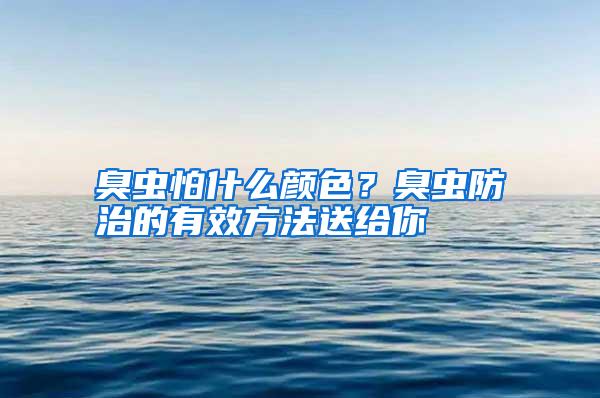臭蟲怕什么顏色?臭蟲防治的有效方法送給你
