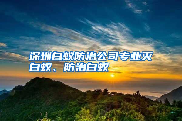 深圳白蟻防治公司專業(yè)滅白蟻、防治白蟻