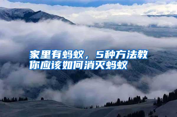 家里有螞蟻,5種方法教你應該如何消滅螞蟻