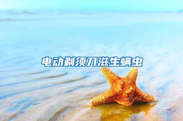 電動(dòng)剃須刀滋生螨蟲
