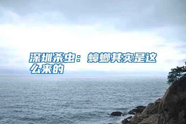 深圳殺蟲:蟑螂其實(shí)是這么來的