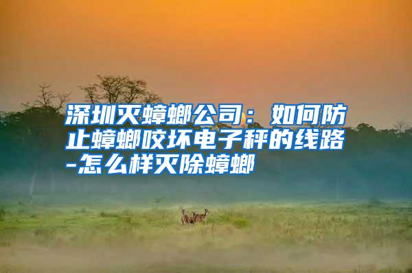 深圳滅蟑螂公司:如何防止蟑螂咬壞電子秤的線路-怎么樣滅除蟑螂