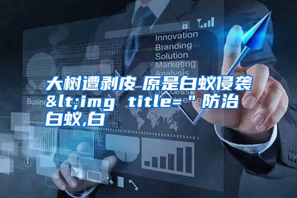 大樹遭剝皮 原是白蟻侵襲<img title="防治白蟻,白