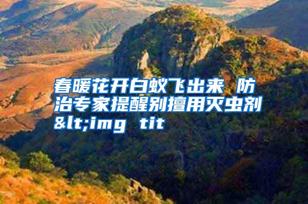 春暖花開白蟻飛出來 防治專家提醒別擅用滅蟲劑<img tit