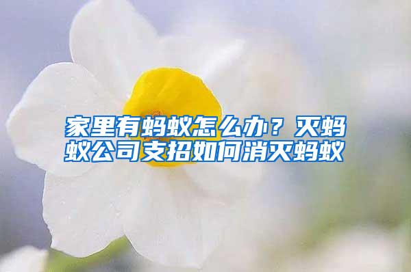 家里有螞蟻怎么辦?滅螞蟻公司支招如何消滅螞蟻