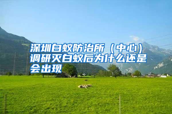 深圳白蟻防治所(中心)調(diào)研滅白蟻后為什么還是會出現(xiàn)