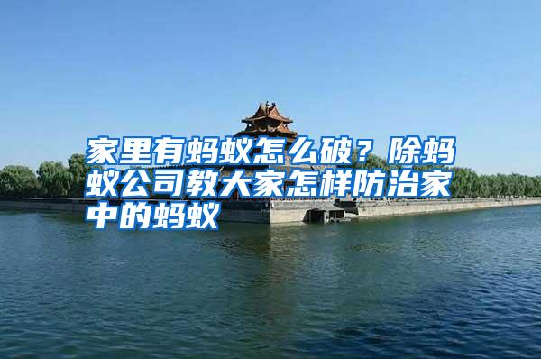 家里有螞蟻怎么破?除螞蟻公司教大家怎樣防治家中的螞蟻