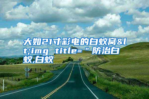 大如21寸彩電的白蟻窩<img title="防治白蟻,白蟻