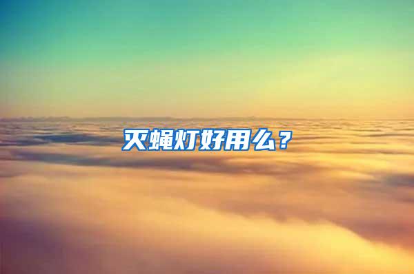滅蠅燈好用么?