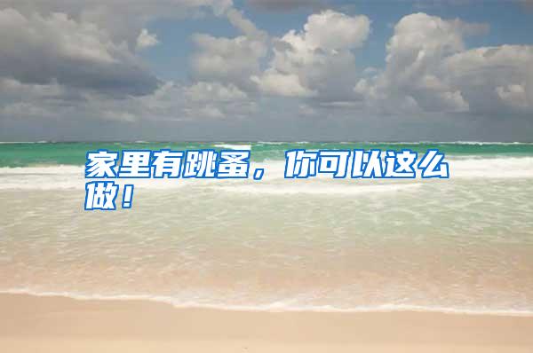 家里有跳蚤,你可以這么做!