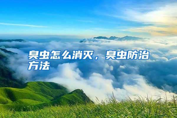 臭蟲怎么消滅,臭蟲防治方法