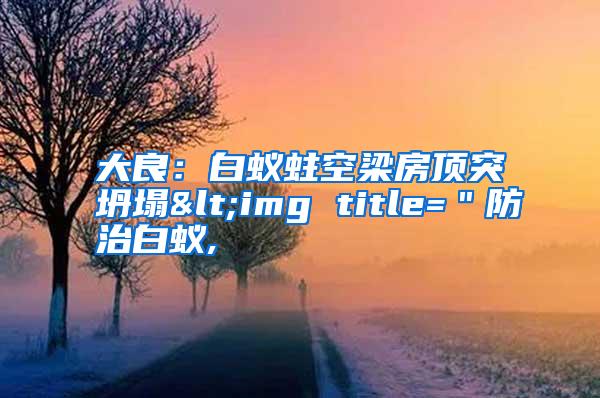 大良:白蟻蛀空梁房頂突坍塌<img title="防治白蟻,