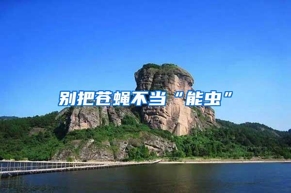 別把蒼蠅不當(dāng)“能蟲”