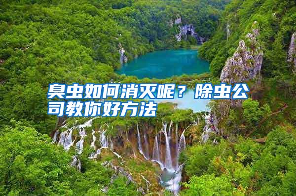 臭蟲如何消滅呢?除蟲公司教你好方法