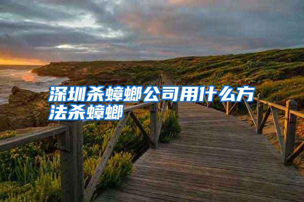 深圳殺蟑螂公司用什么方法殺蟑螂