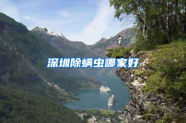 深圳除螨蟲哪家好