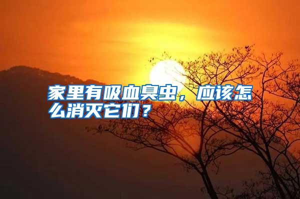 家里有吸血臭蟲,應(yīng)該怎么消滅它們?