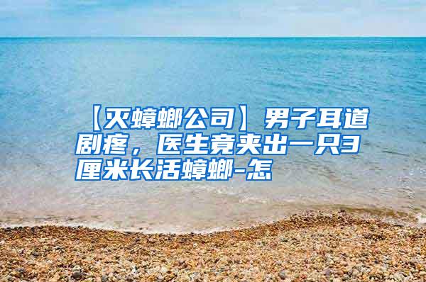 【滅蟑螂公司】男子耳道劇疼,醫(yī)生竟夾出一只3厘米長活蟑螂-怎