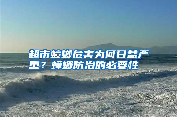 超市蟑螂危害為何日益嚴(yán)重?蟑螂防治的必要性
