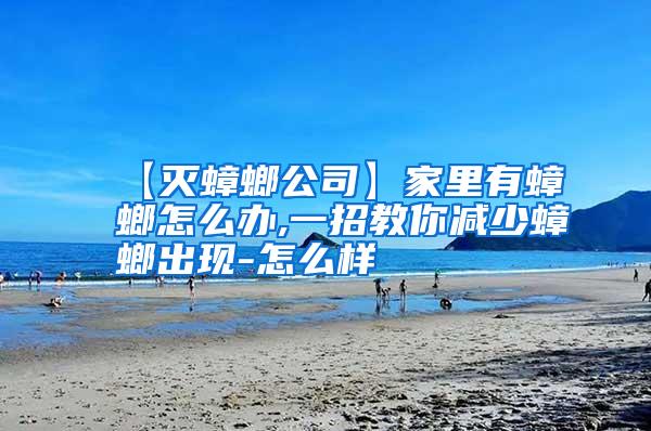 【滅蟑螂公司】家里有蟑螂怎么辦,一招教你減少蟑螂出現(xiàn)-怎么樣