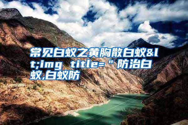 常見白蟻之黃胸散白蟻<img title="防治白蟻,白蟻防