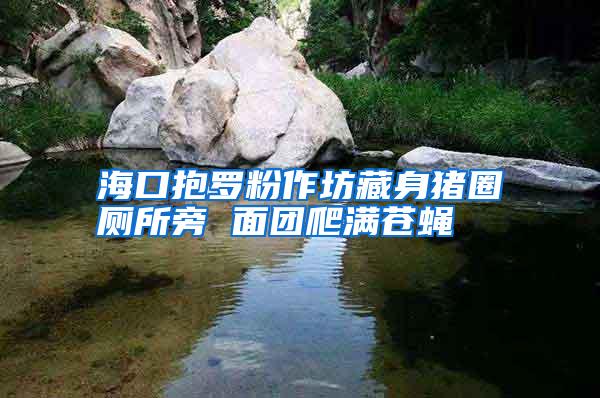 ??诒Я_粉作坊藏身豬圈廁所旁 面團爬滿蒼蠅