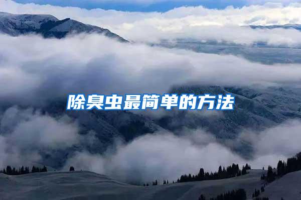 除臭蟲最簡單的方法