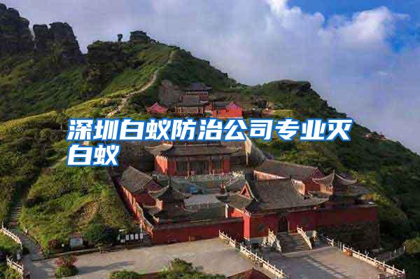 深圳白蟻防治公司專(zhuān)業(yè)滅白蟻