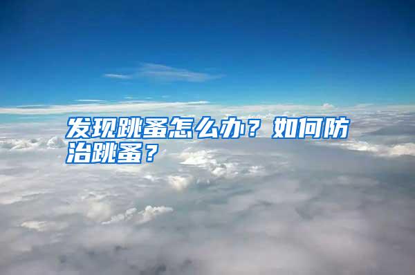 發(fā)現(xiàn)跳蚤怎么辦?如何防治跳蚤?