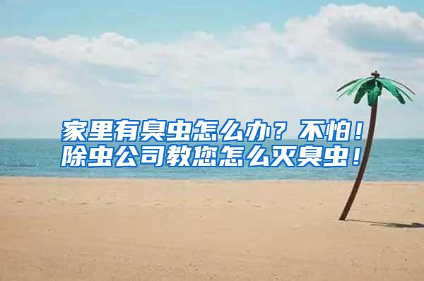 家里有臭蟲怎么辦?不怕!除蟲公司教您怎么滅臭蟲!