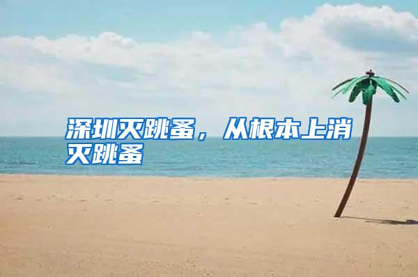 深圳滅跳蚤，從根本上消滅跳蚤