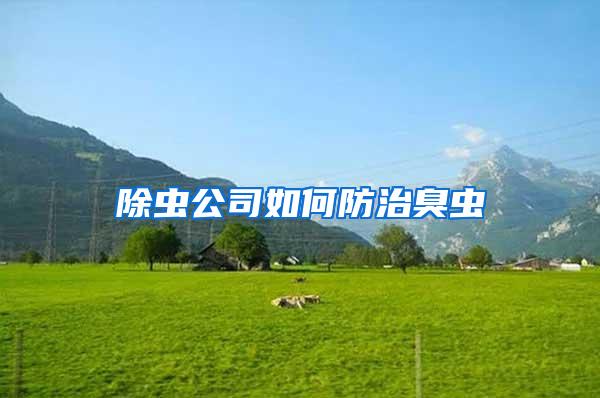 除蟲公司如何防治臭蟲