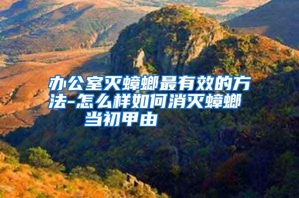 辦公室滅蟑螂最有效的方法-怎么樣如何消滅蟑螂 當初甲由