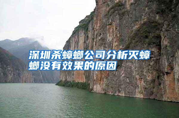 深圳殺蟑螂公司分析滅蟑螂沒有效果的原因