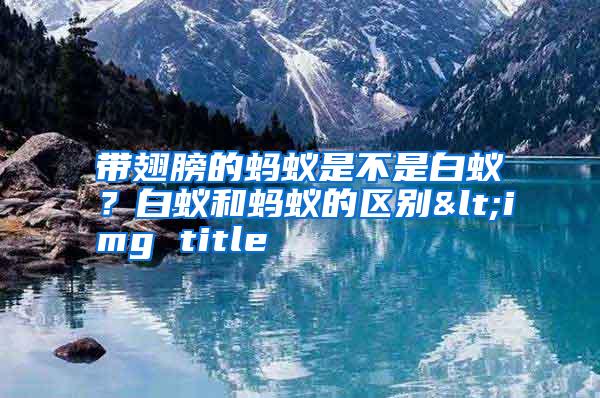 帶翅膀的螞蟻是不是白蟻?白蟻和螞蟻的區(qū)別<img title