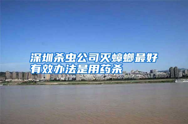 深圳殺蟲公司滅蟑螂最好有效辦法是用藥殺