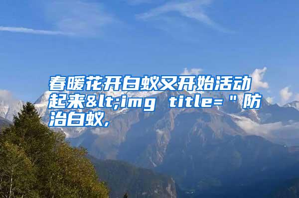 春暖花開白蟻又開始活動起來<img title="防治白蟻,