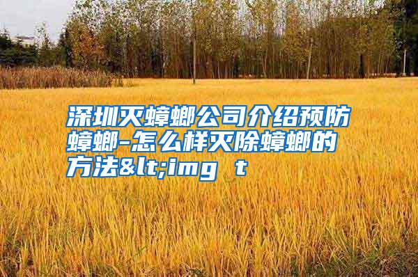 深圳滅蟑螂公司介紹預防蟑螂-怎么樣滅除蟑螂的方法<img t